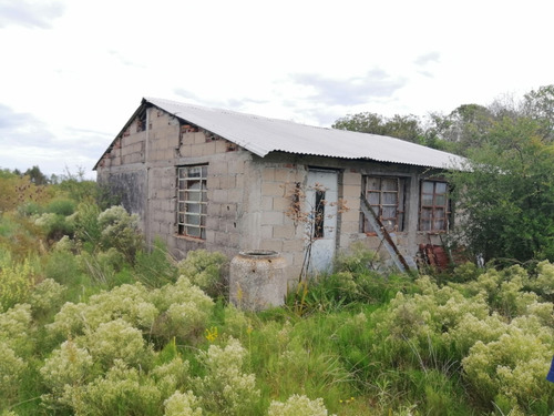 Imagen 7 de 12 de Chacra A La Venta - A 2 Km De San Antonio - 5 Hás