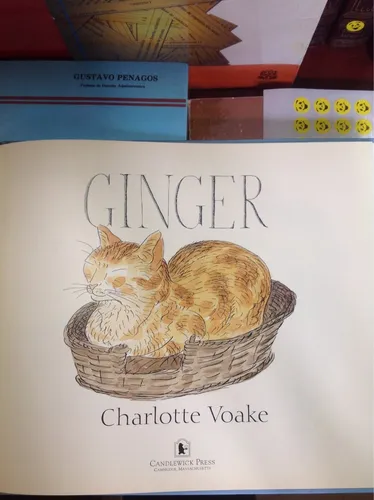 Ginger. Charlotte Voake (Usado)