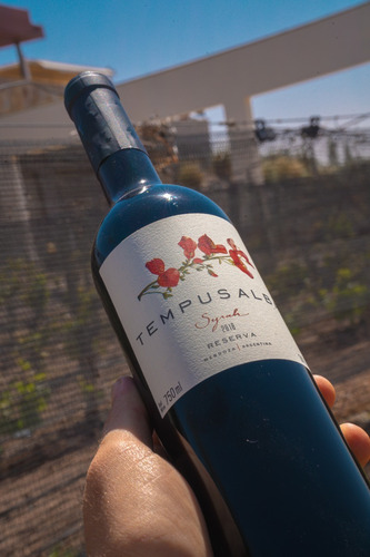 Imagen 3 de 5 de Vino Tempus Alba Syrah 750 Ml 2018