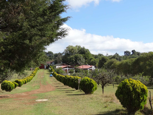 Venta De Lotes Campestres Sin Enganche Todas Las Medidas