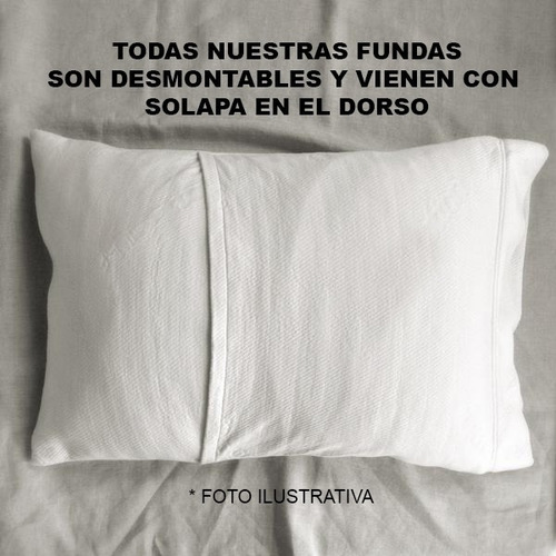 Imagen 2 de 9 de Almohadones Colores Lisos 40x40 Decorativo Decorar Sublimar