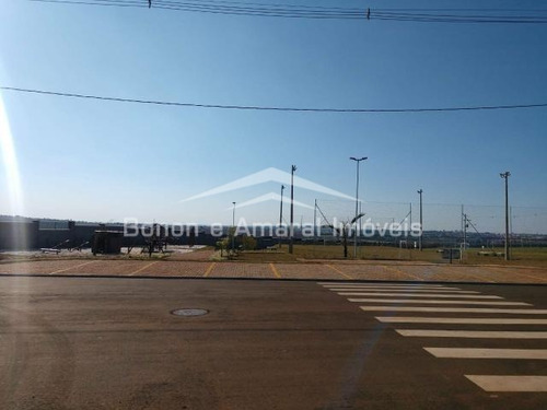 Imagem 20 de 26 de Casa À Venda Em Vila Monte Alegre - Ca013687
