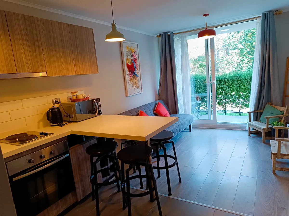 Hermoso Departamento Dos Ambientes En Pucón (155791)