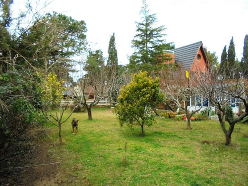 Imagen 3 de 7 de Terreno En Venta En Ezcurra Medrano