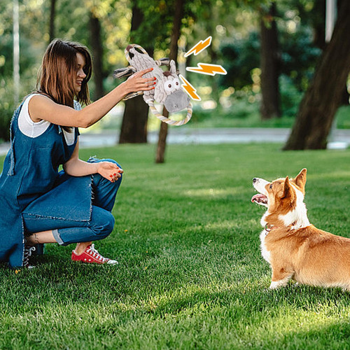 Juguetes Chirriantes Para Perros Para Masticadores Agresivos