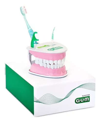 Gum Macromodelo Profesional