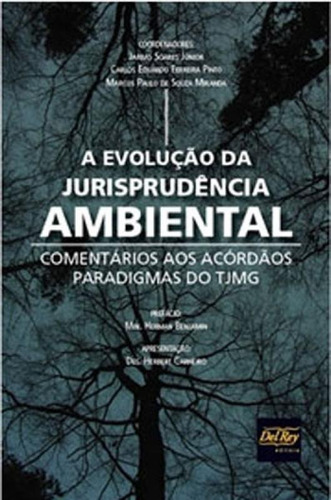 Evoluçao Da Jurisprudencia Ambiental, De Soares Junior, Jarbas. Editora Del Rey, Capa Mole, Edição 1ª Edição - 2018 Em Português