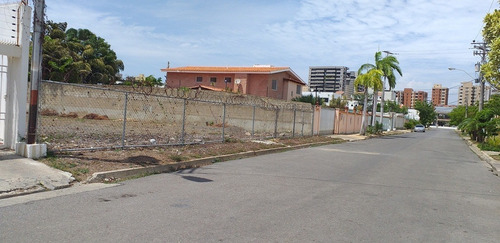 Imagen 3 de 4 de Venta Parcela De Terreno En Lecheria