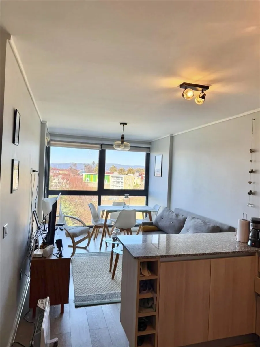 Imagen 4 de 16 de Departamento En Arriendo De 2 Dorm. En Valdivia