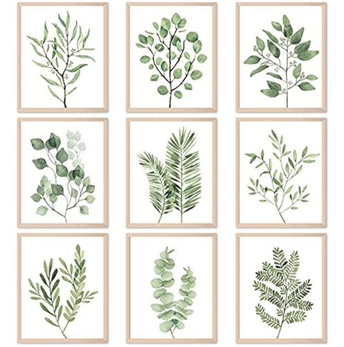 ~? 9pcs Impresiones De Arte De Pared De Plantas Botánicas De