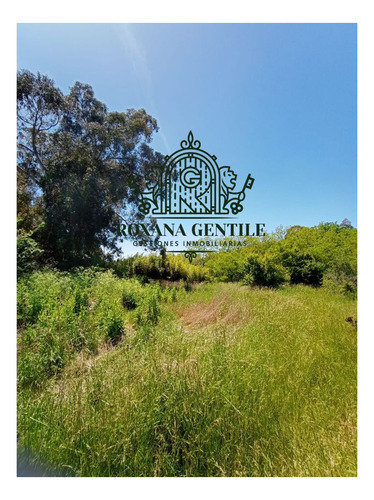 Imagen 2 de 5 de Casa Quinta En Venta De 13049m2 Ubicado En Tandil