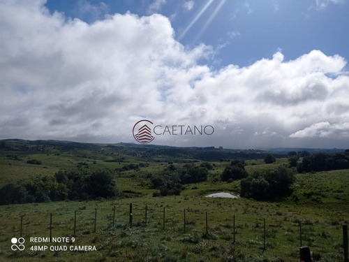 Imagen 24 de 25 de Venta De Campo, Maldonado.campo De 41 Hectáreas, Próximo A Pueblo Edén - Pueblo Eden