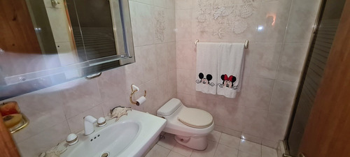 Imagen 24 de 30 de Vendo Pb 235m2 3h/3b/2p La Alameda 7555