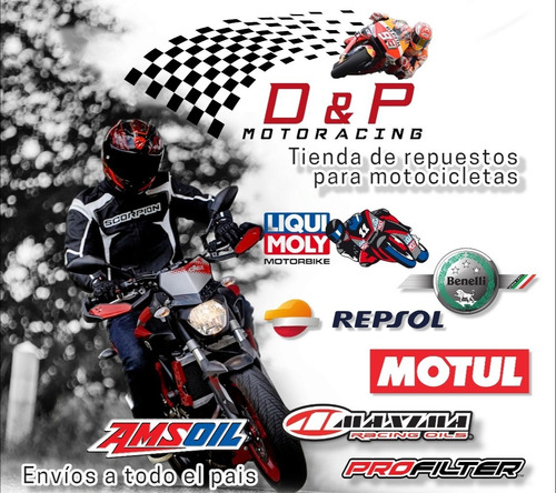 Imagen 2 de 2 de Kit Mantencion Yamaha Fz16 Repsol 10w40 + Filtro Hibari
