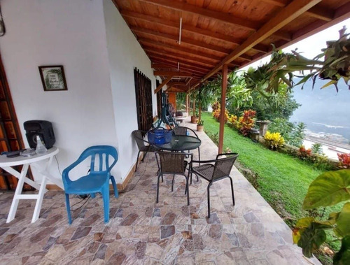 Imagen 4 de 22 de Finca En Girardota Vereda Portachuelo