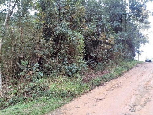 Imagem 3 de 6 de Cód 3894- Maravilhoso Terreno Em Ibiúna. - 3894
