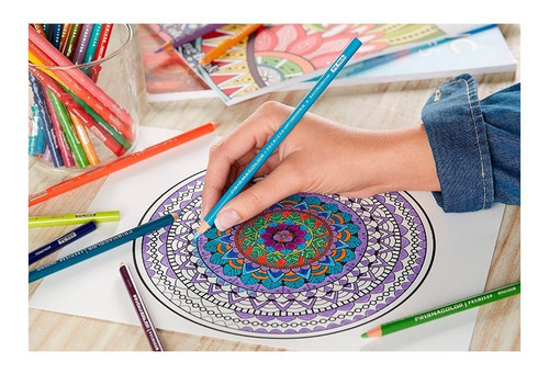 Imagen 7 de 8 de Prismacolor Premiere 48 Colores Profesionales Alta Calidad