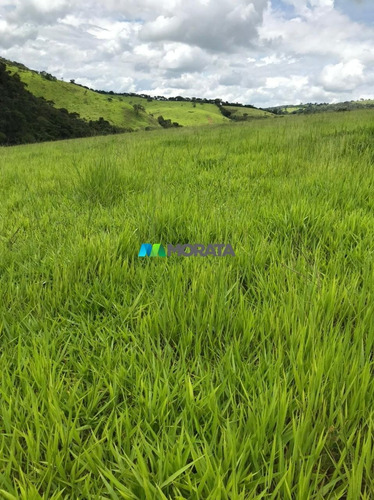 Imagem 8 de 15 de Fazenda - Zona Rural - Ref: 5020 - V-mta5020