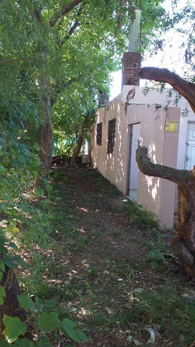 Imagen 4 de 12 de Casa - Virrey Del Pino