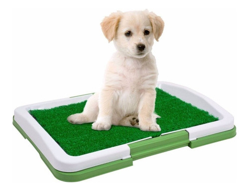 Puppy Potty Pad Sanitario Baño Ecologico Mascotas Pequeñas