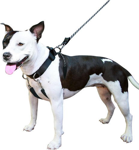 Halter Perro Para Los Perros De Raza Grande No Tirar Hu...