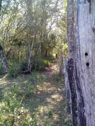 Campo En Venta En Formosa
