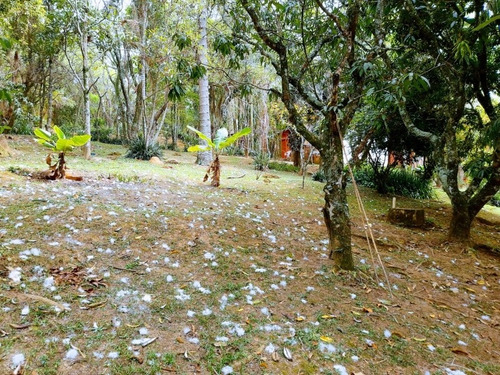 Imagem 8 de 27 de Linda Chácara