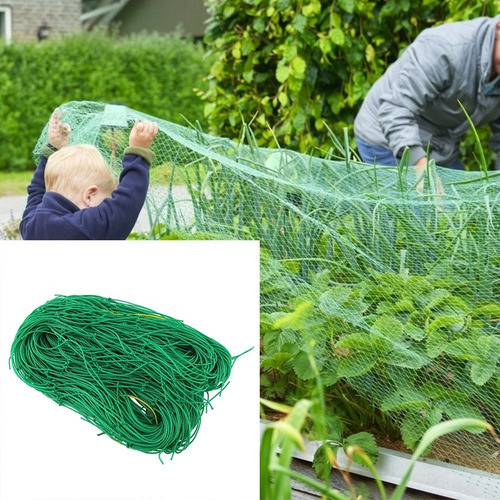 Soporte De Enredaderas Para Plantas De Jardinería, Malla De