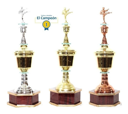 Trofeos  Para Taekwondo O Karate En Metal 