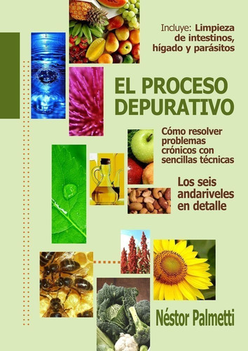 Proceso Depurativo: Guía Práctica | Nestor Palmetti