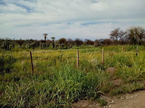 Imagen 11 de 14 de C012bc - Campo 56 Has En Bajo Los Corrales