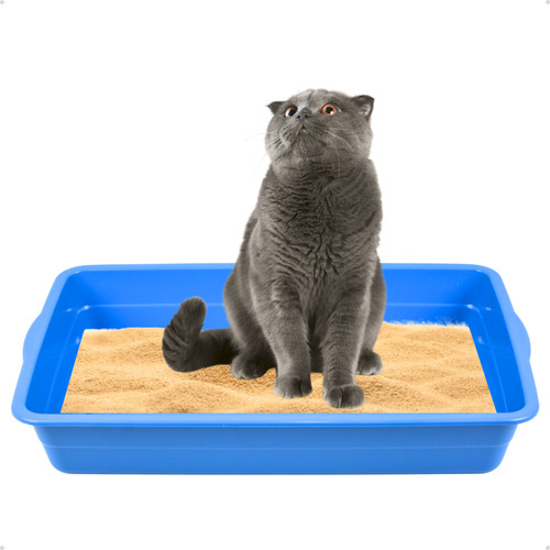 Caixinha De Areia Para Gatos Banheiro Higiênico Bandeja Gato