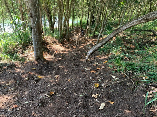 Imagem 7 de 12 de Gs- Garanta Ja Um Terreno De 600m² !!!