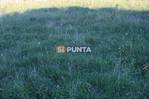 Imagen 18 de 30 de Campo Turistico Cerca De Punta Del Este