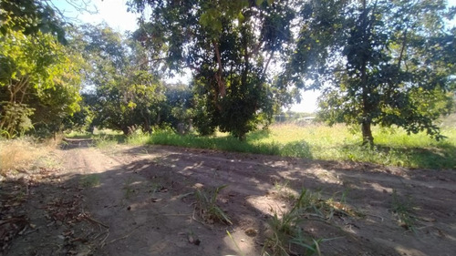 Venta Parcela Camino La Estancillla - Viluco - Buin