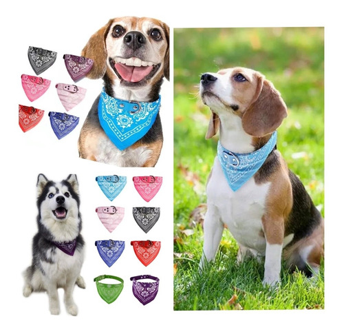 Collar L Para Perro Gato Diseño Pañuelo Paliacate Bandana Eg