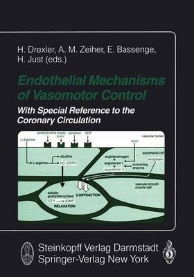 Libro Endothelial Mechanisms Of Vasomotor Control - Helmu...
