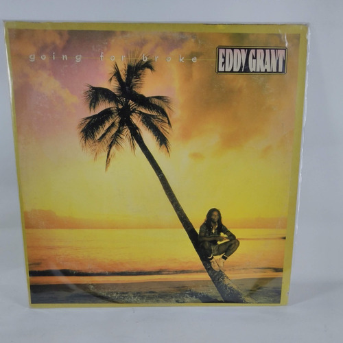 Lp Eddy Grant Going For Broke Excelente Condicion