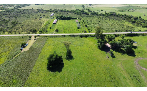Vendo Campo De 3 Hectáreas En San Justo, Entre Ríos.