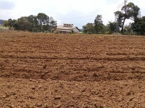 Imagem 11 de 11 de Cod 3943 - Área Com 40 Alqueires A 900 Metros Da Raposo Tava - 3943