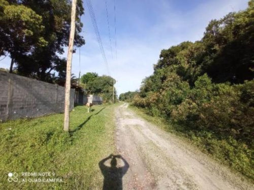 Imagem 4 de 10 de Lotes De Chácara No Bairro São Fernando, Em Itanhaém, Com 2.400 M² De Área Total, Aceita Entrada Mais Parcelas