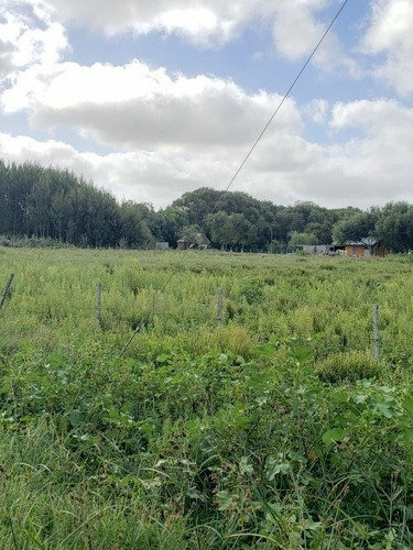 Imagen 3 de 9 de Venta Lote Terreno Pavón General Lavalle Garita 3