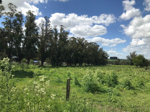 Charca/quinta Sobre Ruta 226 Km 21