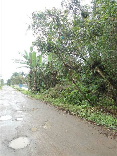 Imagem 3 de 6 de Terreno - Venda - Aguapeu - Itanhaem - Ita2591