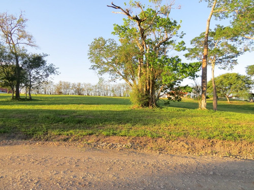 Imagem 2 de 6 de Terreno A Partir De 35 Mil No Empreendimento Ninho Verde I