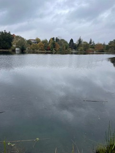 Terreno Laguna Avendaño Loteo Antupahuil