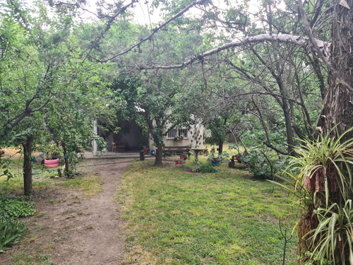 Venta De Quinta