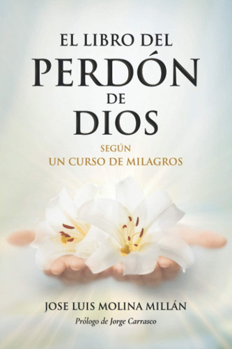 Libro El Libro Del Perdón Dios