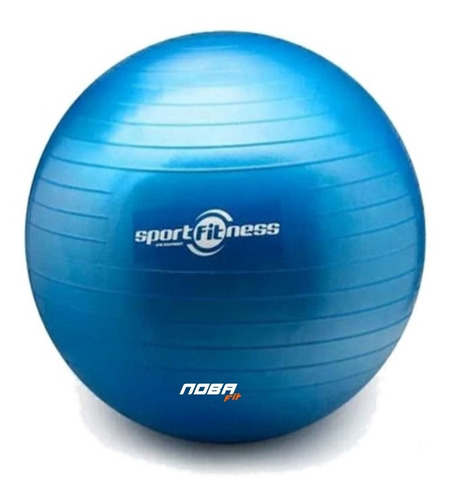 Balon De Pilates Bola Gimnasia 55cm Sport Fitness