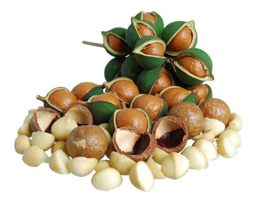 Macadamia Kernel, Mxmdg-001, 1pza, 10kg, Nuez De Macadamia